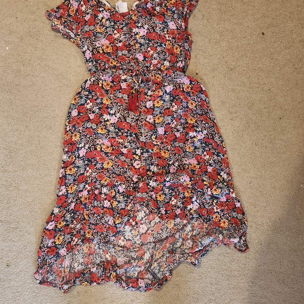 Knox Rose Multicolor Floral Dress